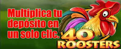 Oferta Flash 20
