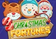 3 Christmas Fortunes screenshot